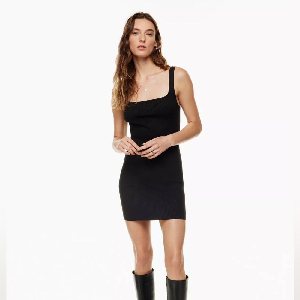 Aritzia Wilfred Invitation Dress